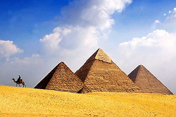 giza5